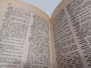 Diccionario Frances-Espanol Espanol-Frances (Sp...