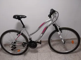 Bicicleta Paseo 26 Pulgadas