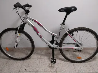 Bicicleta Paseo 26 Pulgadas