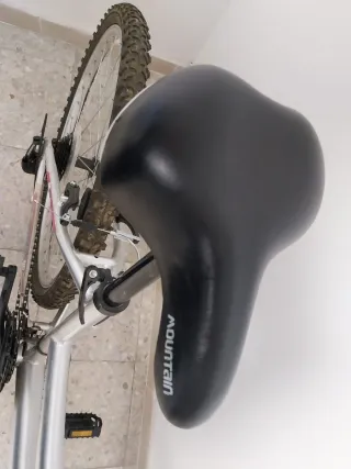 Bicicleta Paseo 26 Pulgadas