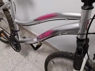 Bicicleta Paseo 26 Pulgadas