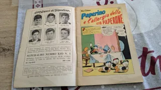 Paperino Zio Paperone Albi della Rosa 1960