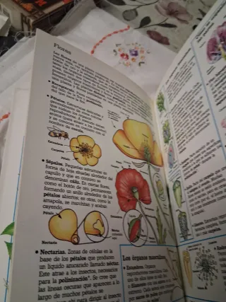 Diccionario De Biologia