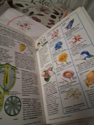 Diccionario De Biologia