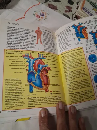 Diccionario De Biologia