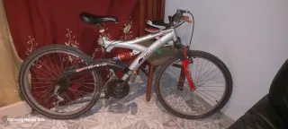 Bicicleta de Montaña
