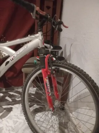 Bicicleta de Montaña