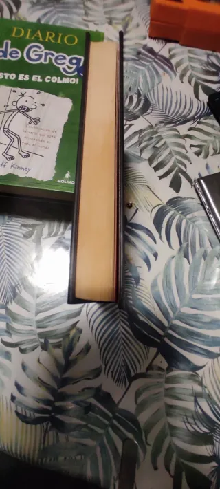 Diario de Greg 10 - Vieja escuela