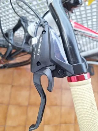 Bicicleta de Montaña Berg Blanca