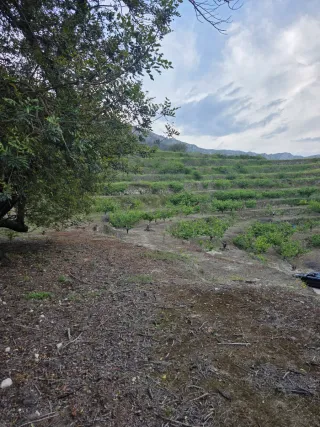 Terreno en venta contruible tiene agua