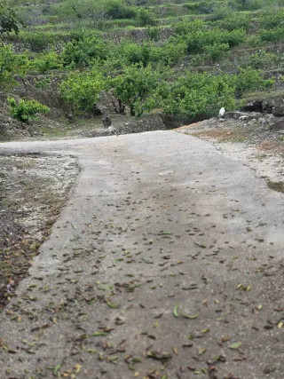 Terreno en venta contruible tiene agua