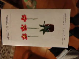 Kit Amigurumi DMC Flower Pot