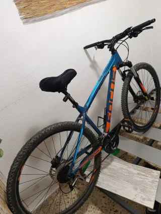 Bicicleta montaña Focus 29"