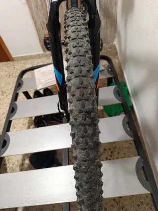 Bicicleta montaña Focus 29"