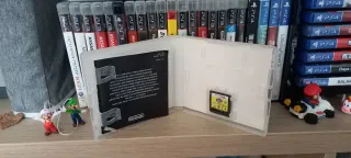 Nintendo DS Littlest Pet Shop Novos Amigos