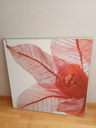 4 cuadros Decorativos Flores