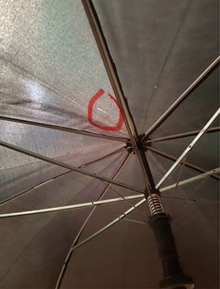 Paraguas con puño de pato dorado