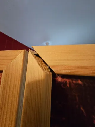 Biombo XXL Tropical 5 Hojas Monstera 225x171