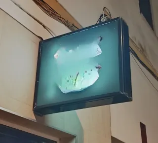 Cartel luminoso BANDERA.