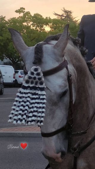 Mosquero de seda azul y blanco