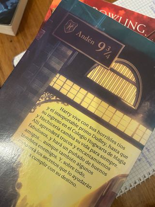 Harry Potter y la piedra filosofal (Harry Potte...