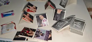 Tatuajes WWE y Pegatinas Varias