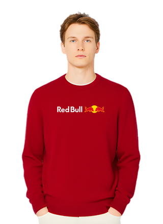 Sudadera jersey Red Bull F1 Team