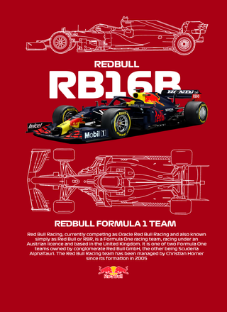 Sudadera jersey Red Bull F1 Team