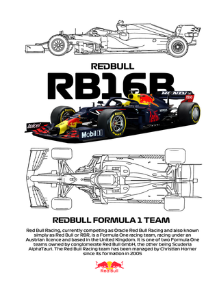 Sudadera jersey Red Bull F1 Team