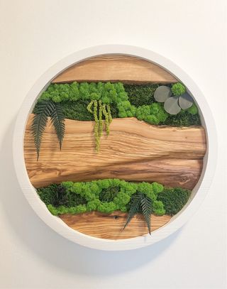 Quadro artigianale in Ulivo e Muschio Stabilizzato