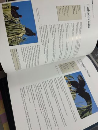 Il grande libro dei rapaci diurni