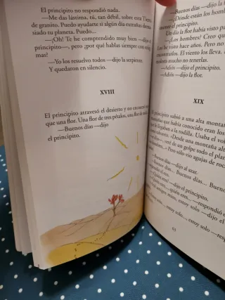 El Principito, libro