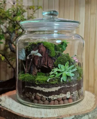 Terrario cerrado artesanal M