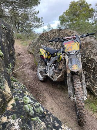 Suzuki RMZ 250