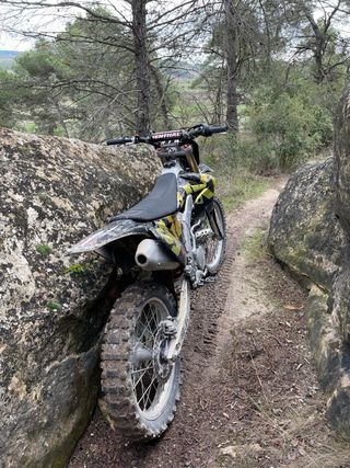 Suzuki RMZ 250
