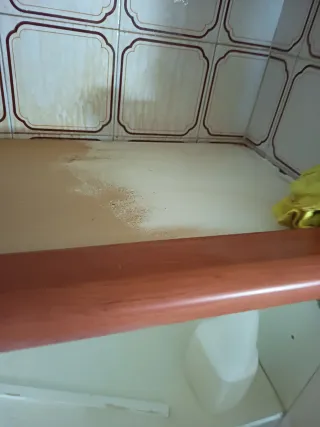 Se ofrece servicio de limpieza.