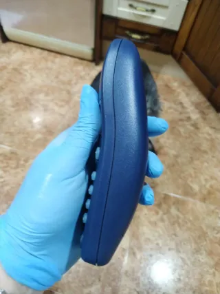 Teléfono Inhalámbrico Siemens Azul semi Nuevo