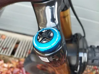 Bicicleta Specialized S-Works Turbo Levo G3