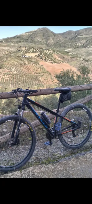 Bicicleta de montaña