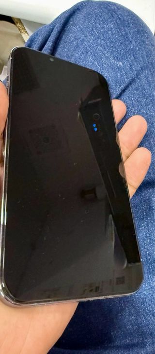 iPhone 13 Pro Max AZuL   Sin Rallas