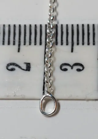 Cadena y Pendientes de Plata de Ley