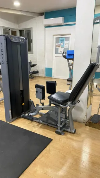 Máquina de gimnasio Matrix Abducción
