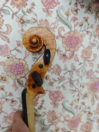 Viola Italiana año 1913. Posibilidad de financiar