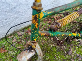 Cuadro Bicicleta Antigua