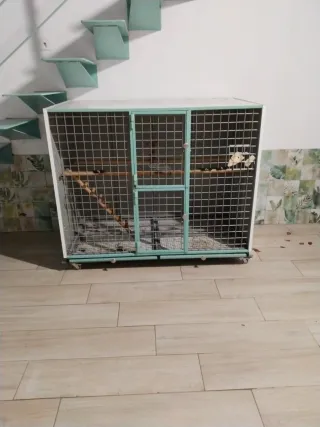 Jaula grande para guacamayo de grandes dimensiones