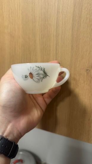 Vajilla de Arcopal de 67 piezas - margaritas