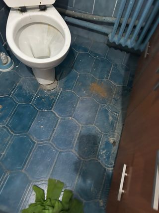 Limpieza por hora -10 euros