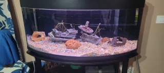 pecera    grande        curva con decoración