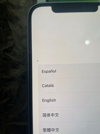 iPhone 12 64GB Verde