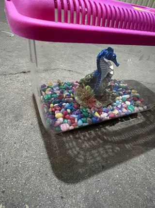 Pecera pequeña con accesorios